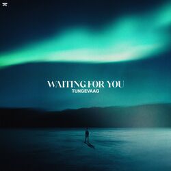Cover of Waiting For You