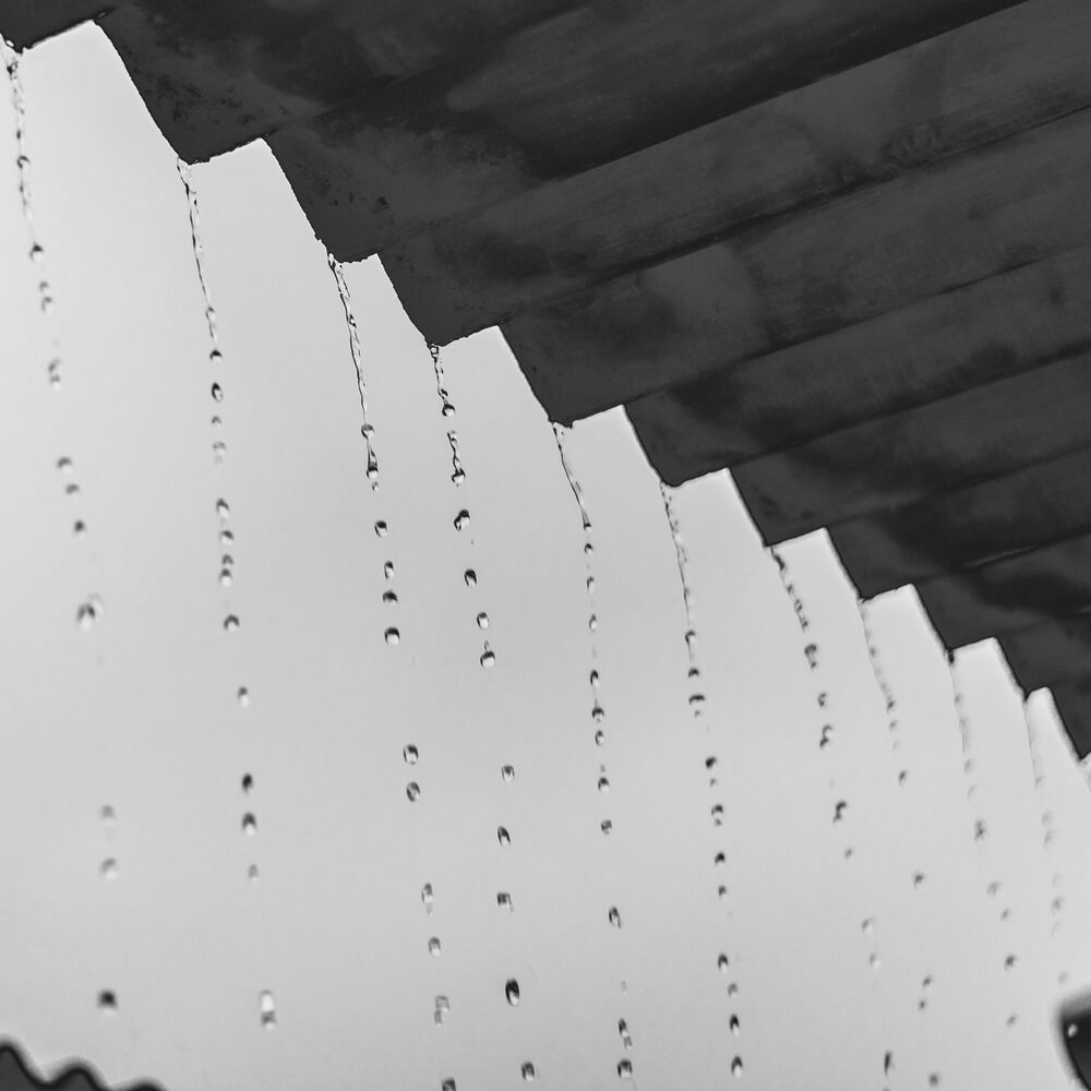 Picture of 50 Ambient Rains: Veil of Raindrops