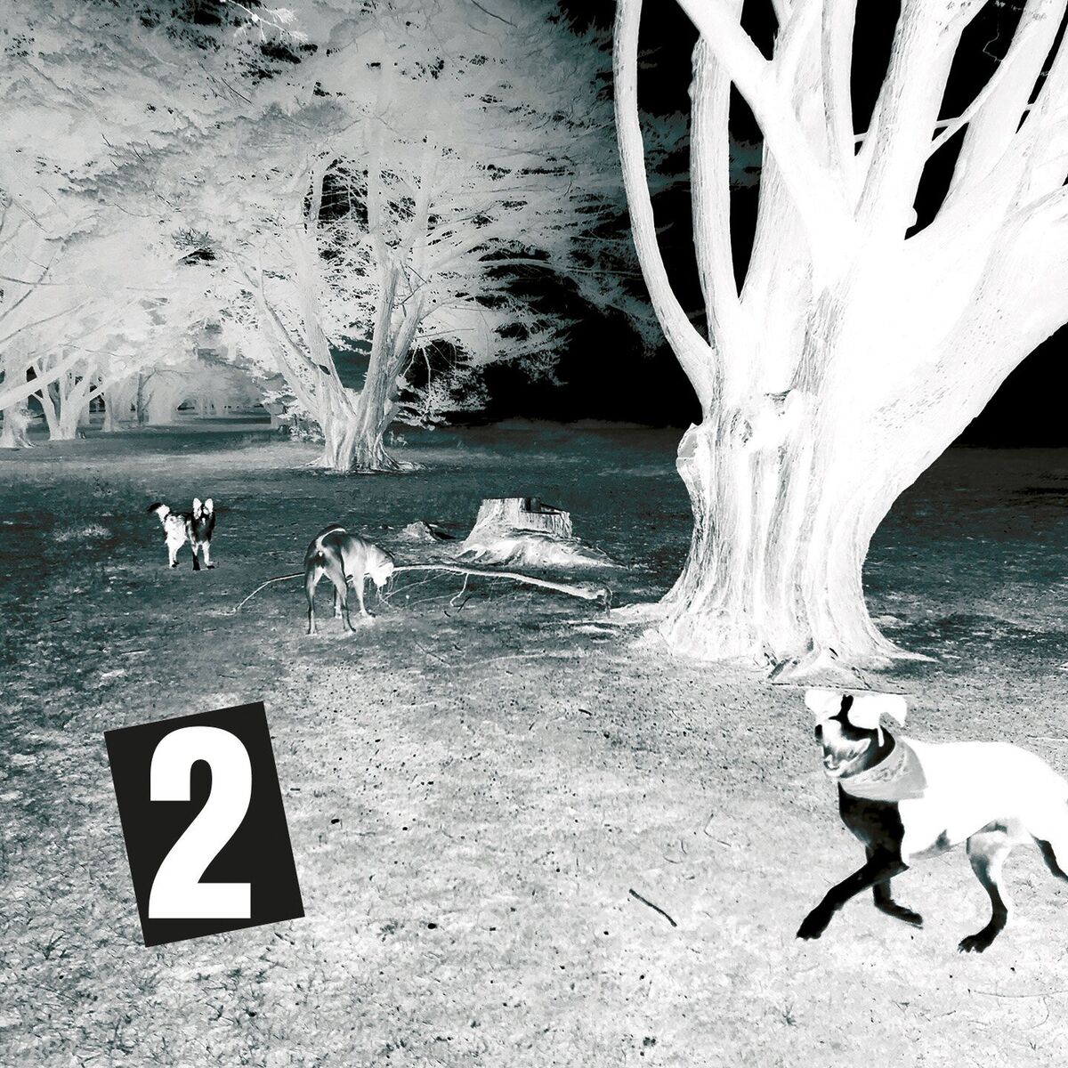 Album cover of Along The Line (Chapter 2)