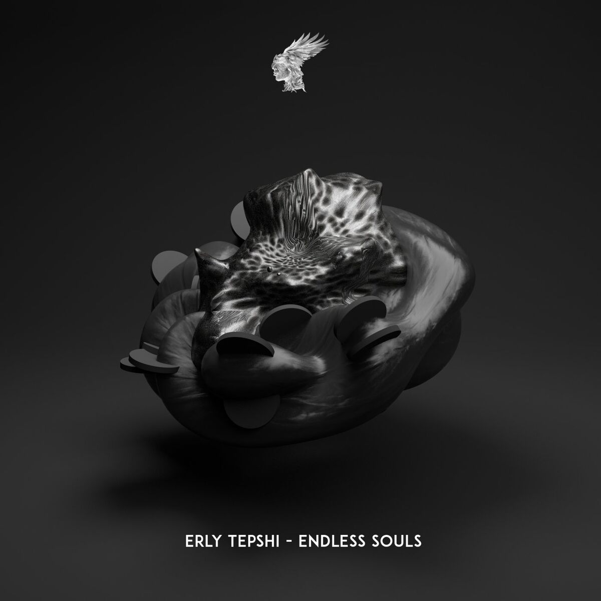 Album cover of Endless Souls