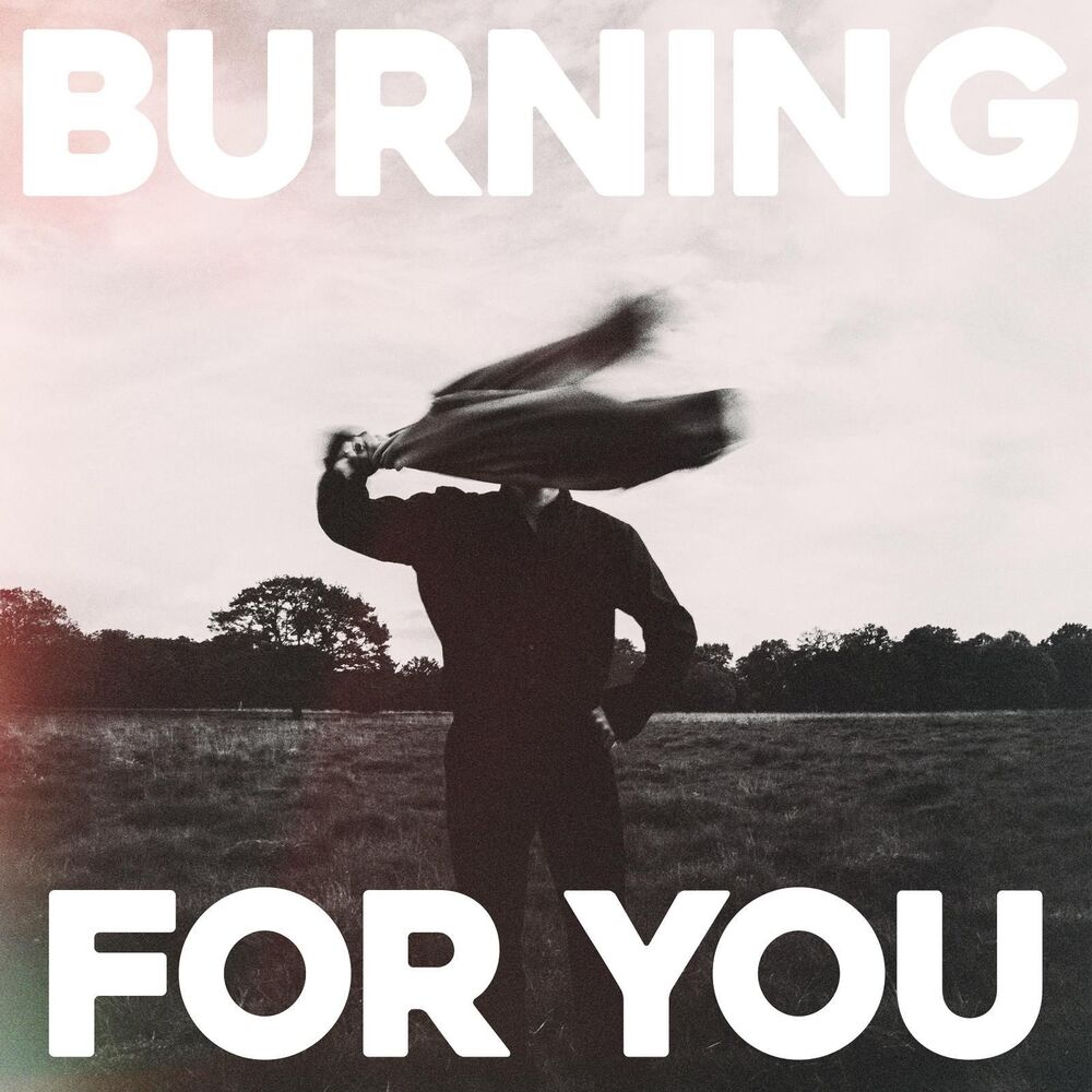 Picture of Burning For You