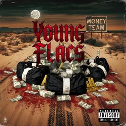 Cover of Money Team