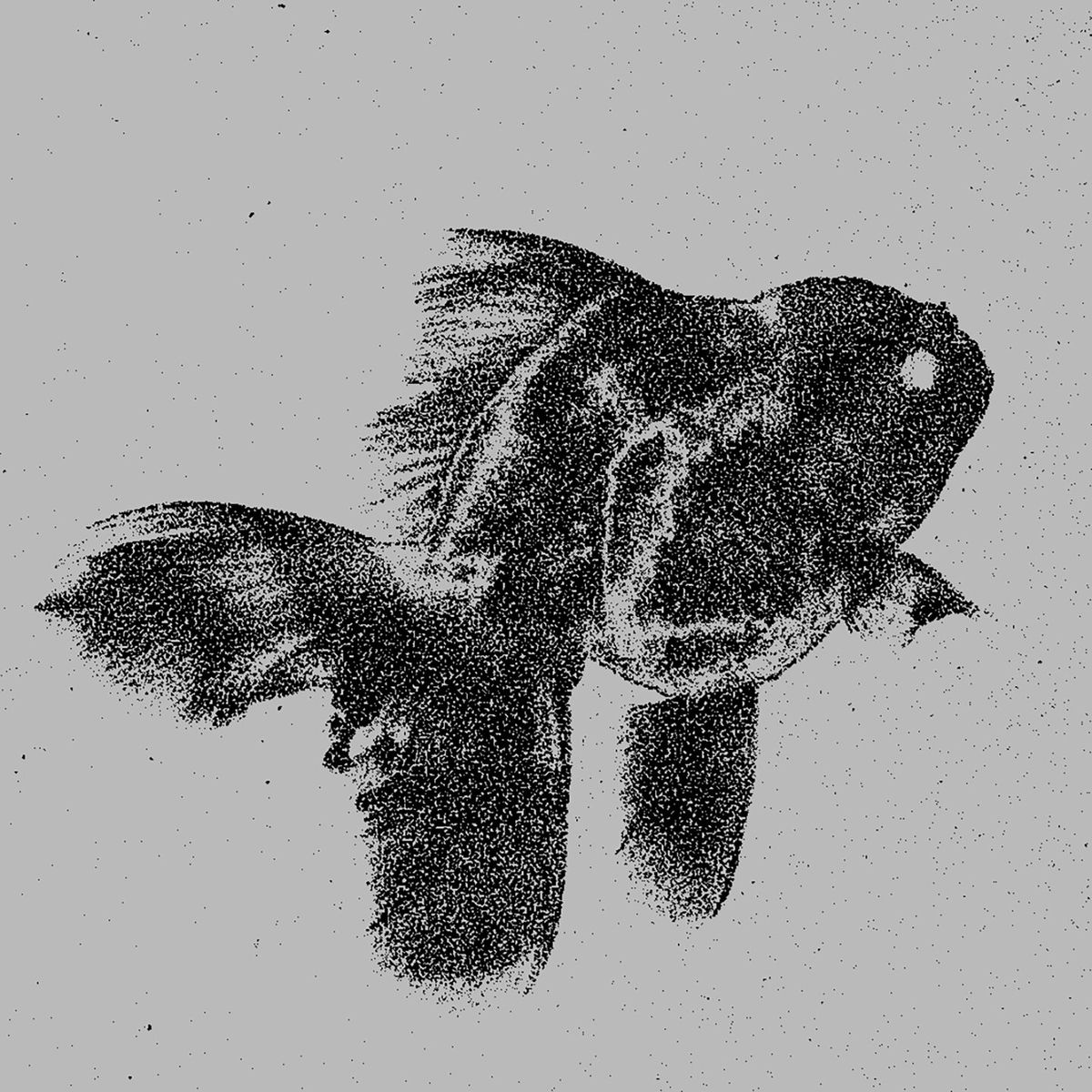 Album cover of Yume-jūya