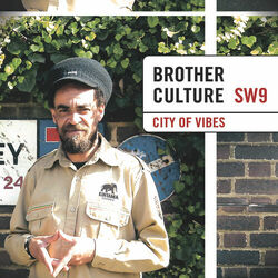 Cover of City of Vibes
