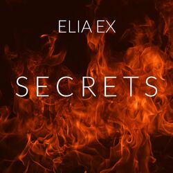 Cover of SECRETS