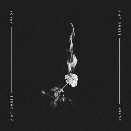 Sorry artwork