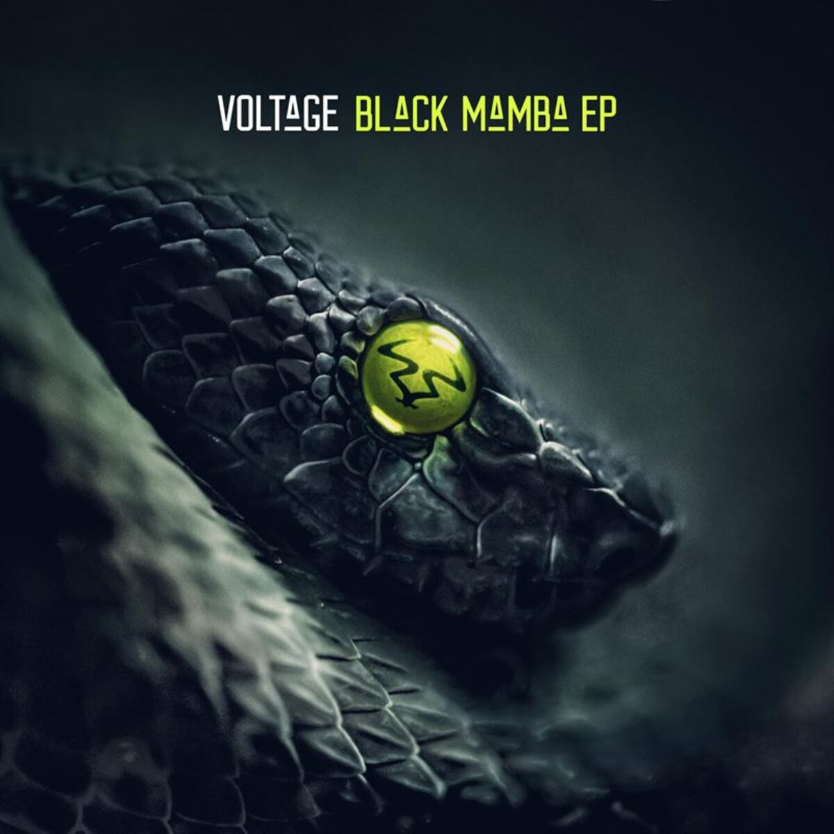 Album cover of Black Mamba