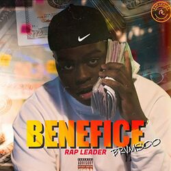 Cover of RAPLEADER 9