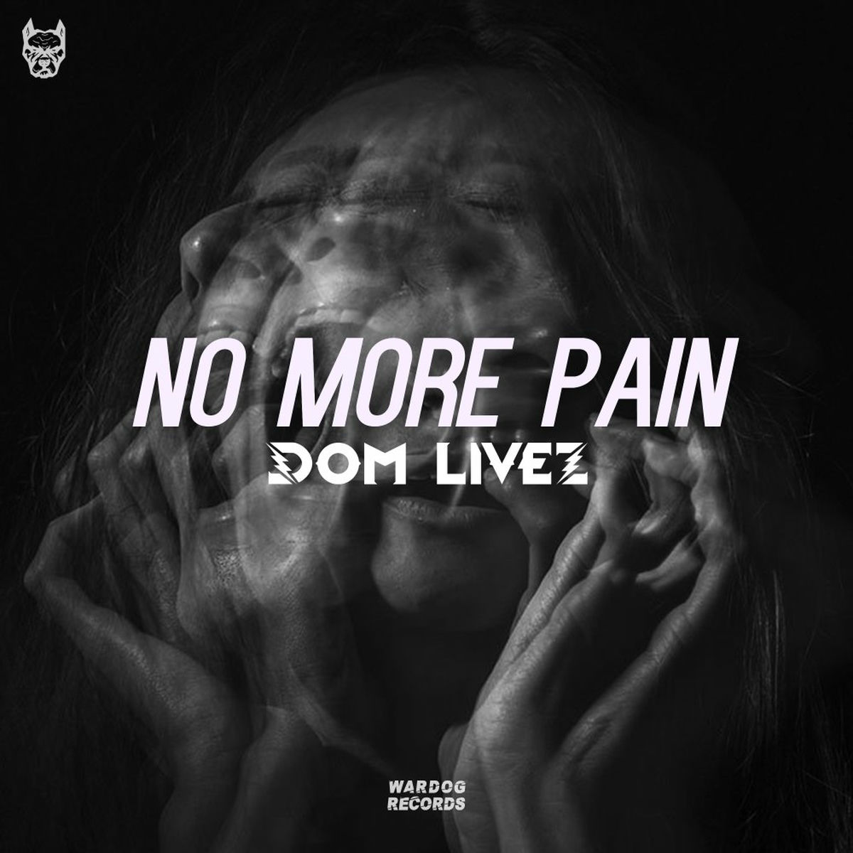 Album cover of No More Pain