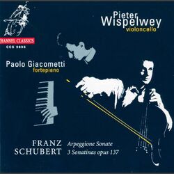 Cover of Schubert: Arpeggione Sonata & 3 Sonatinas, Op. 137