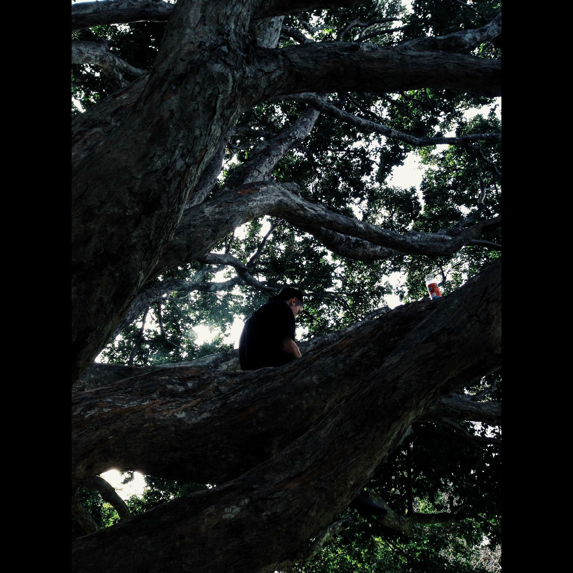 Album cover of Forgranted
