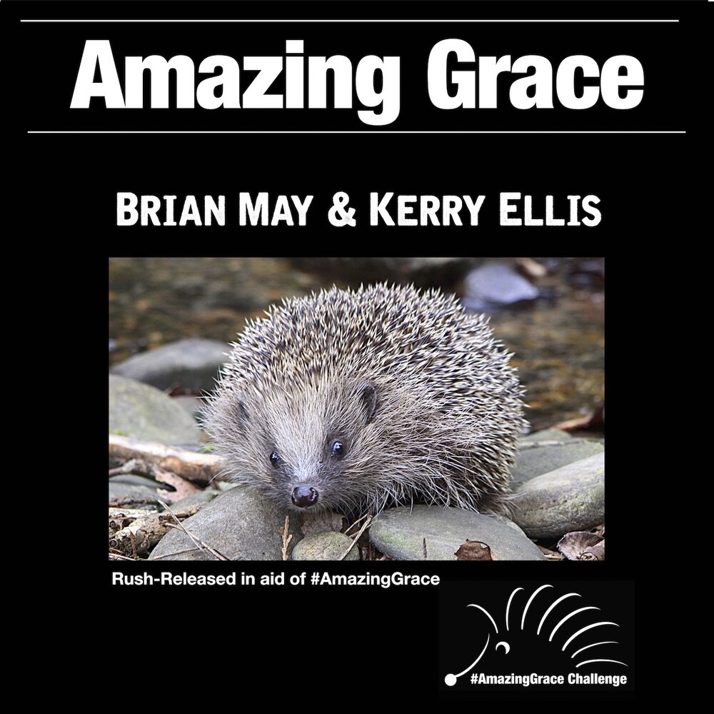 Picture of Amazing Grace