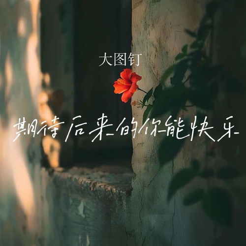期待后来的你能快乐