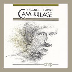 Cover of Camouflage