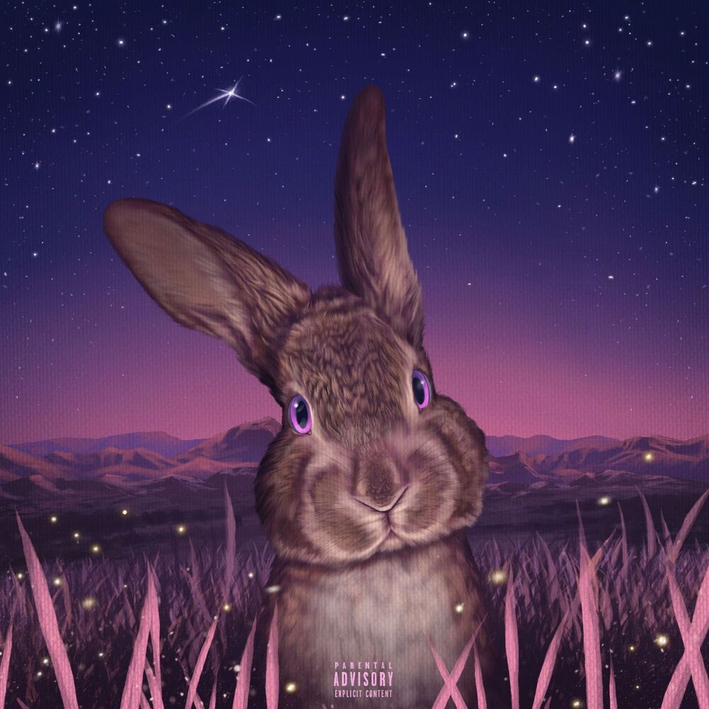 Picture of Honey Bunny 2