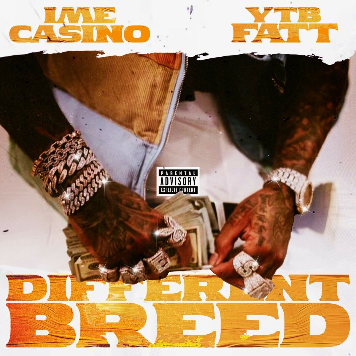 Album cover of Different Breed (feat. YTB Fatt)