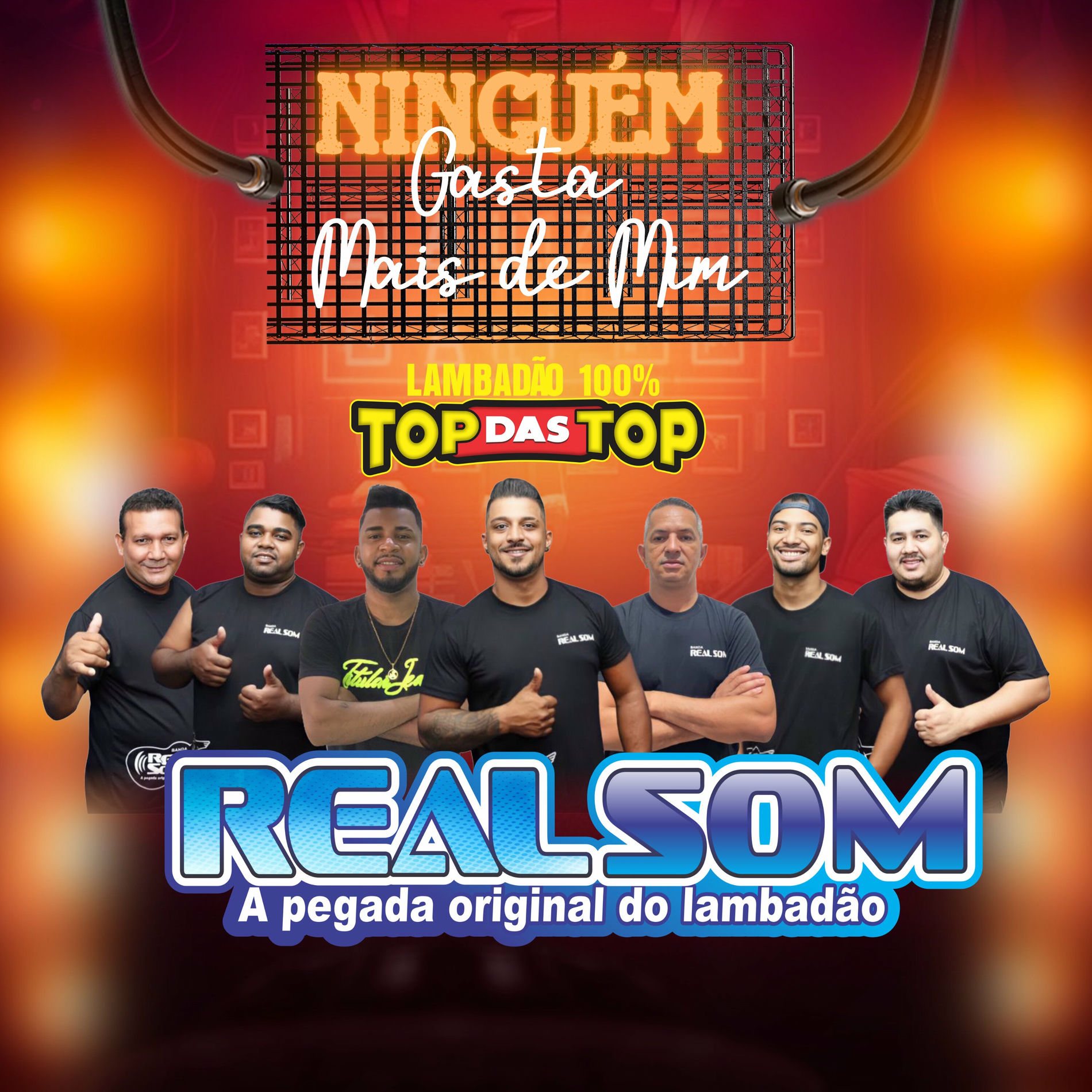 Album cover of Ninguém Gosta Mais de Mim