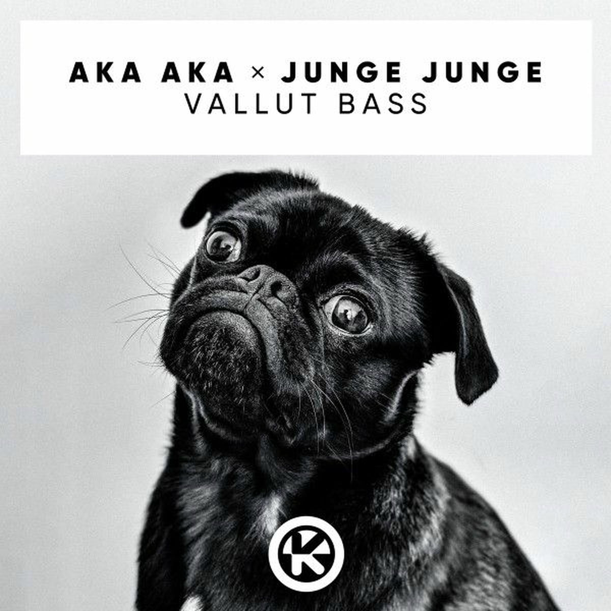 Album cover of Vallut Bass