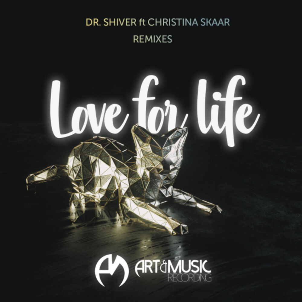 Picture of Love For Life (Leonail, Jesse James, Felix Schorn, Magnus Foss Remixes)