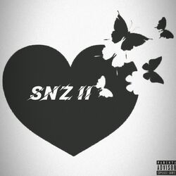 Cover of Snz 2