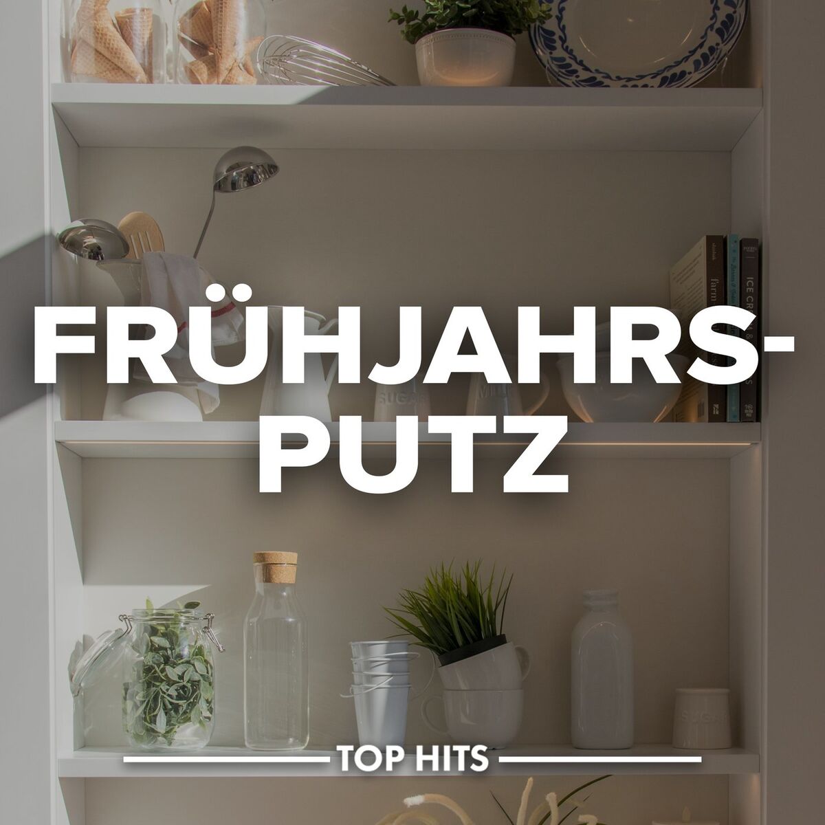 Album cover of Frühjahrsputz