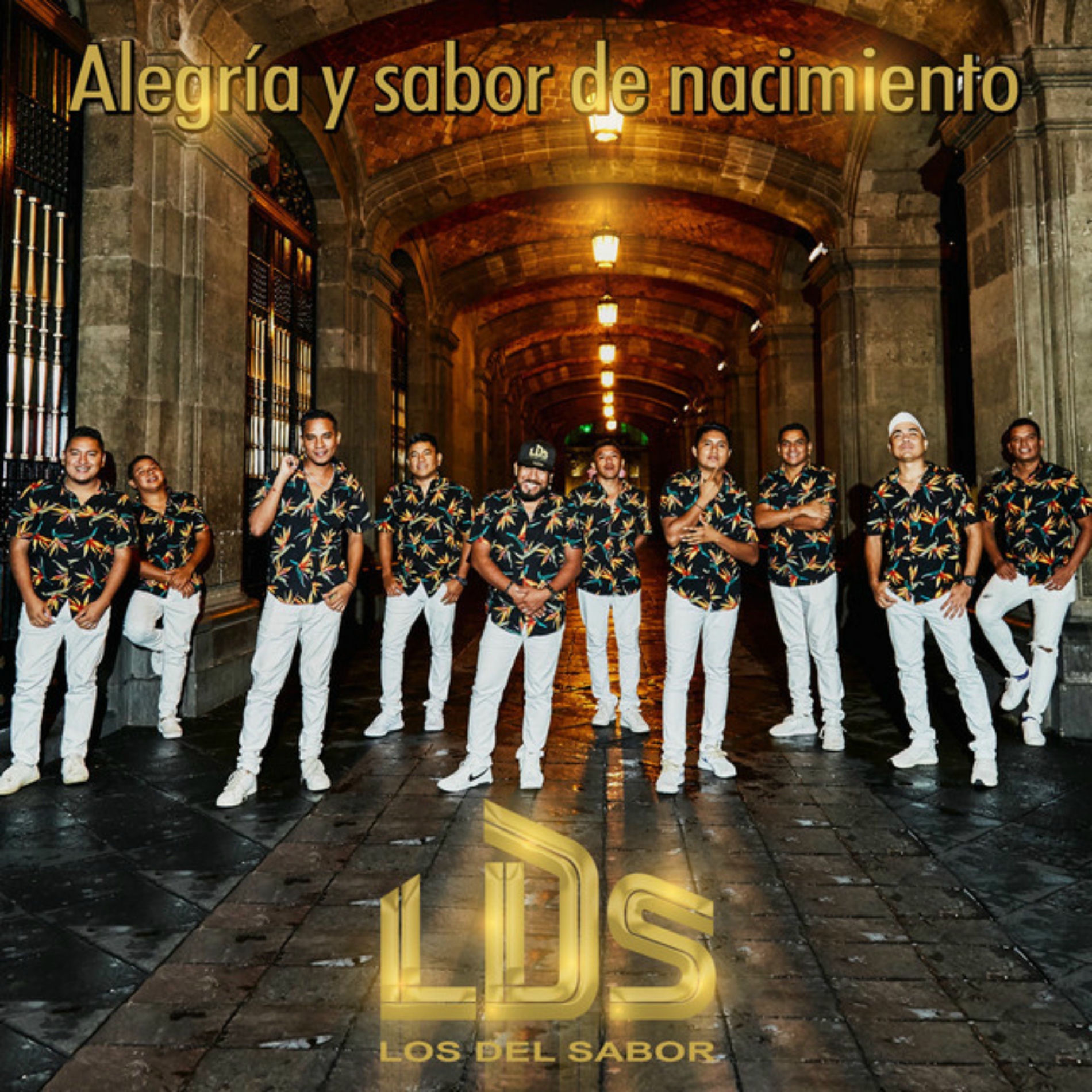 Album cover of Alegría y Sabor de Nacimiento