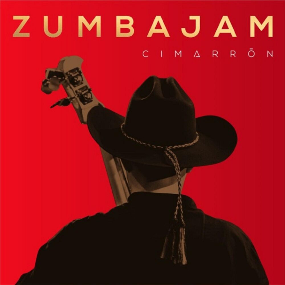 Picture of Zumbajam