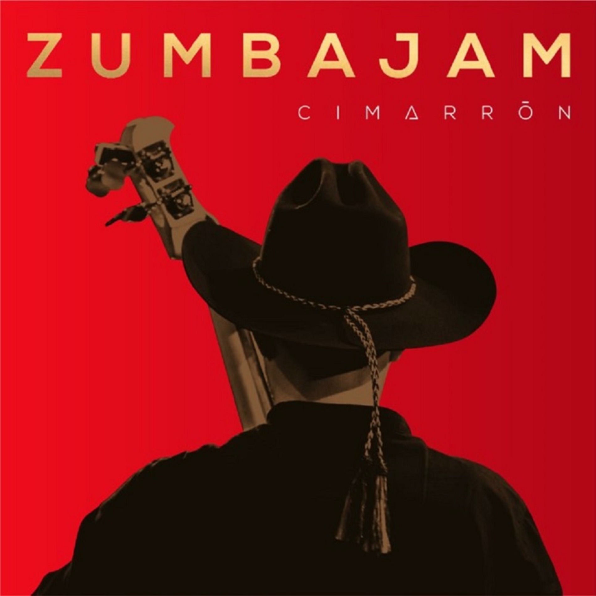 Album cover of Zumbajam
