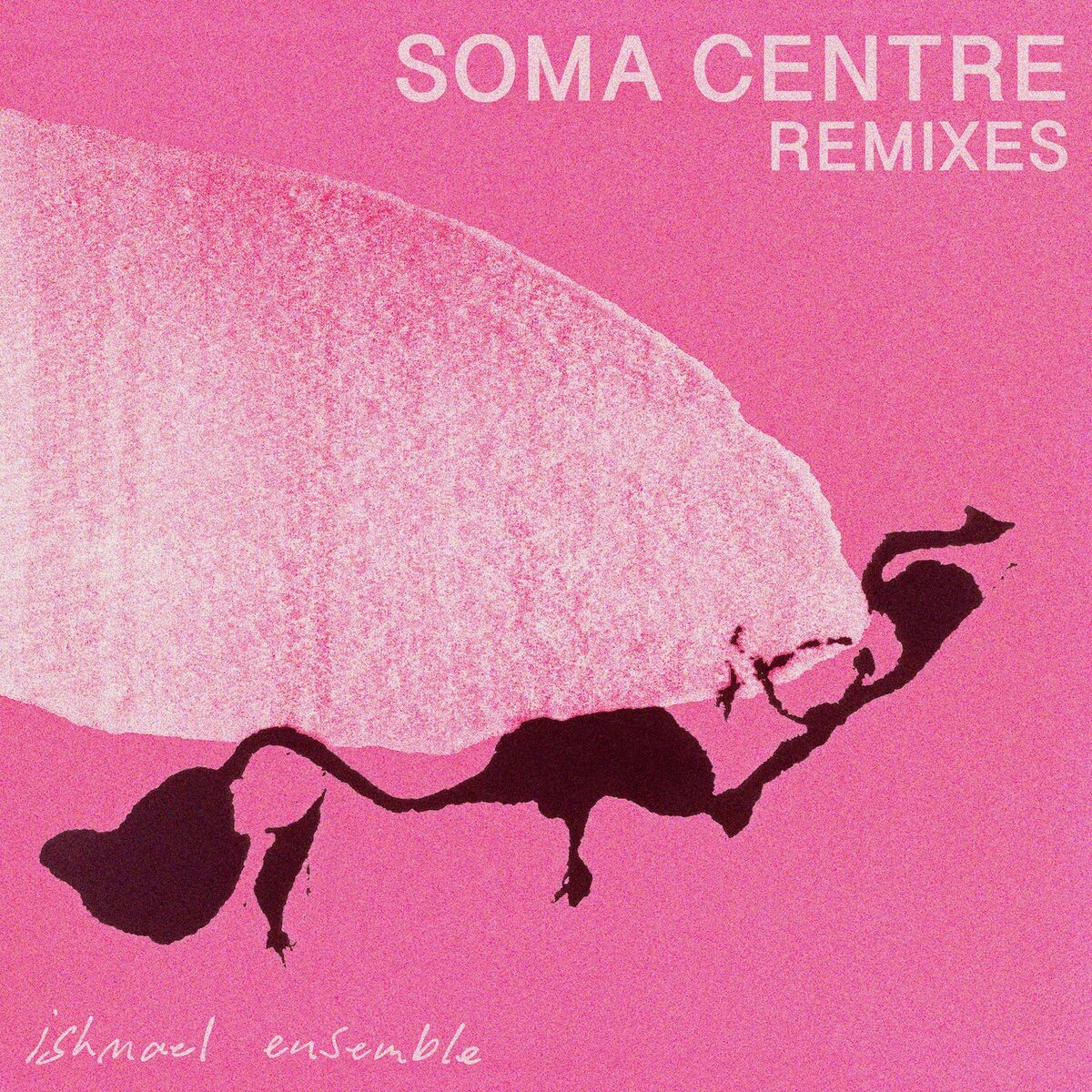 Album cover of Soma Centre Remixes