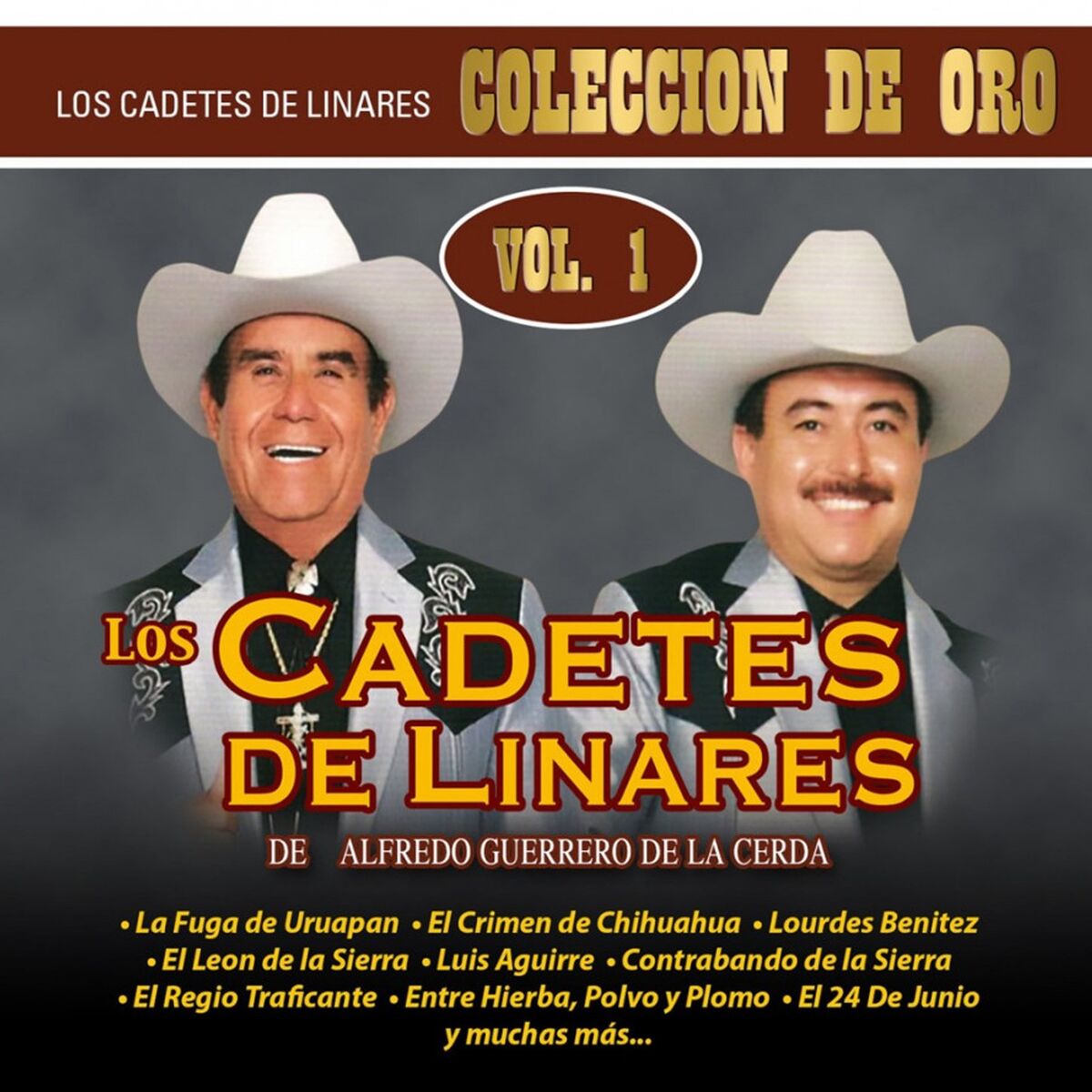 Album cover of Coleccion De Oro, Vol. 1