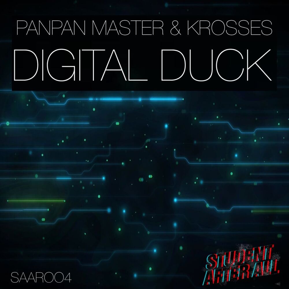 Picture of Digital Duck