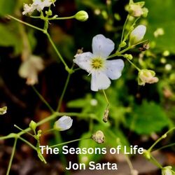 Cover of The Seasons of Life