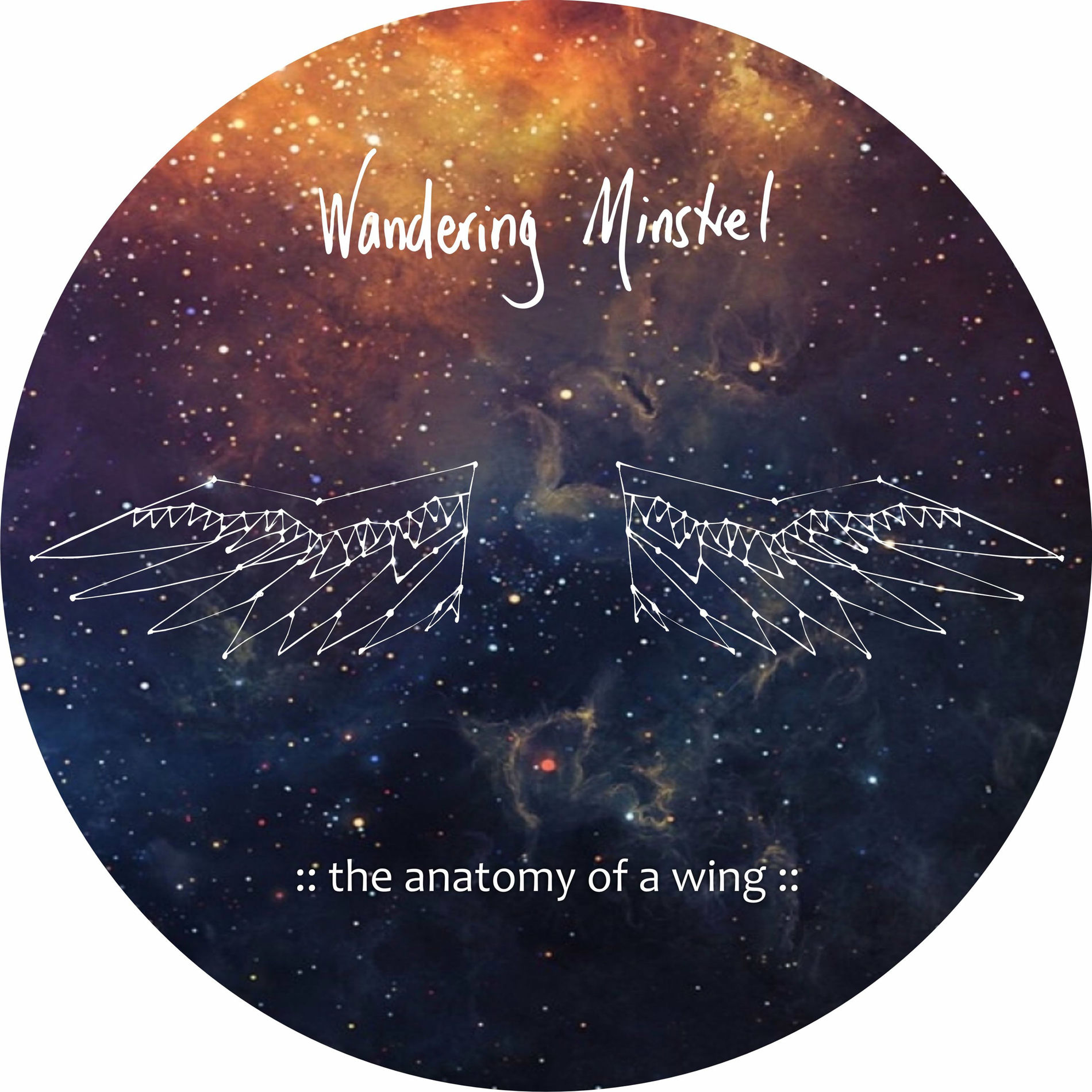 Album cover of the anatomy of a wing