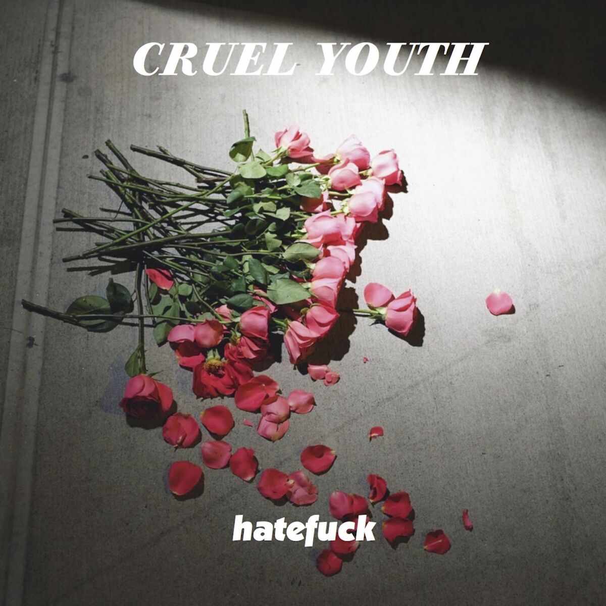 Album cover of Hatefuck