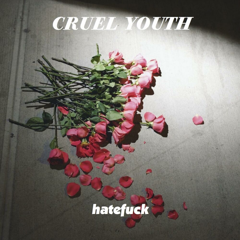 Picture of Hatefuck