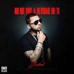 Cover of No Me Voy A Olvidar De Ti