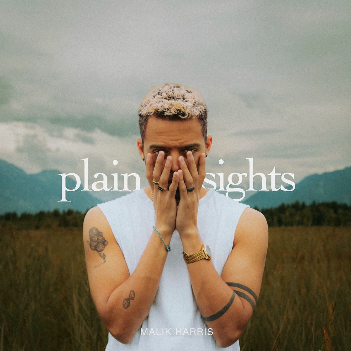 Album cover of Plain Sights