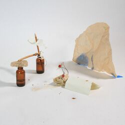 Cover of Multiplay