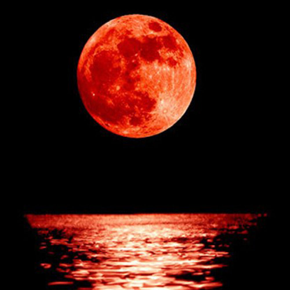 Picture of Maledetta luna