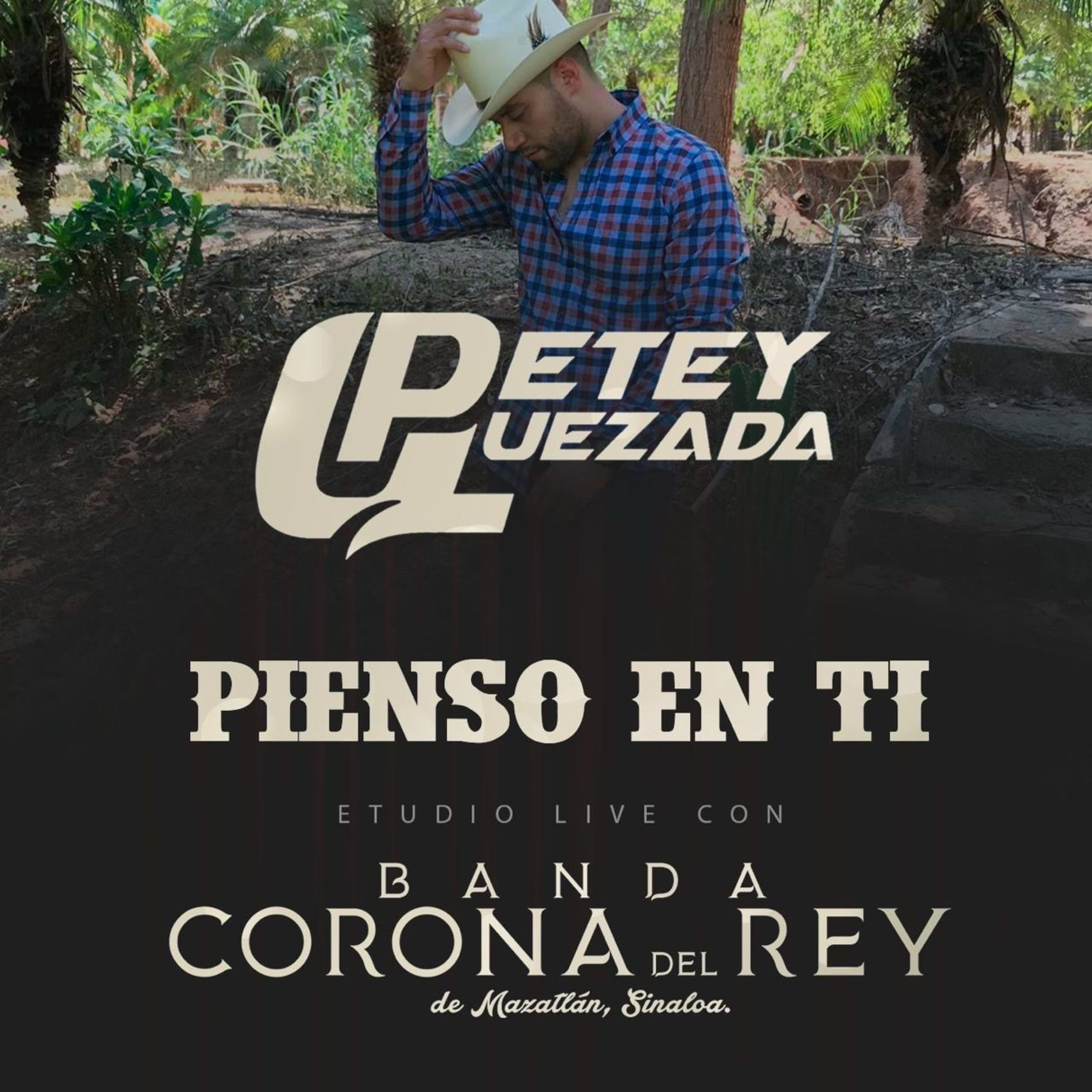 Album cover of Pienso en Ti (feat. Banda Corona Del Rey)