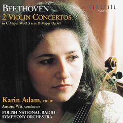Cover of Beethoven: 2 Violin Concertos