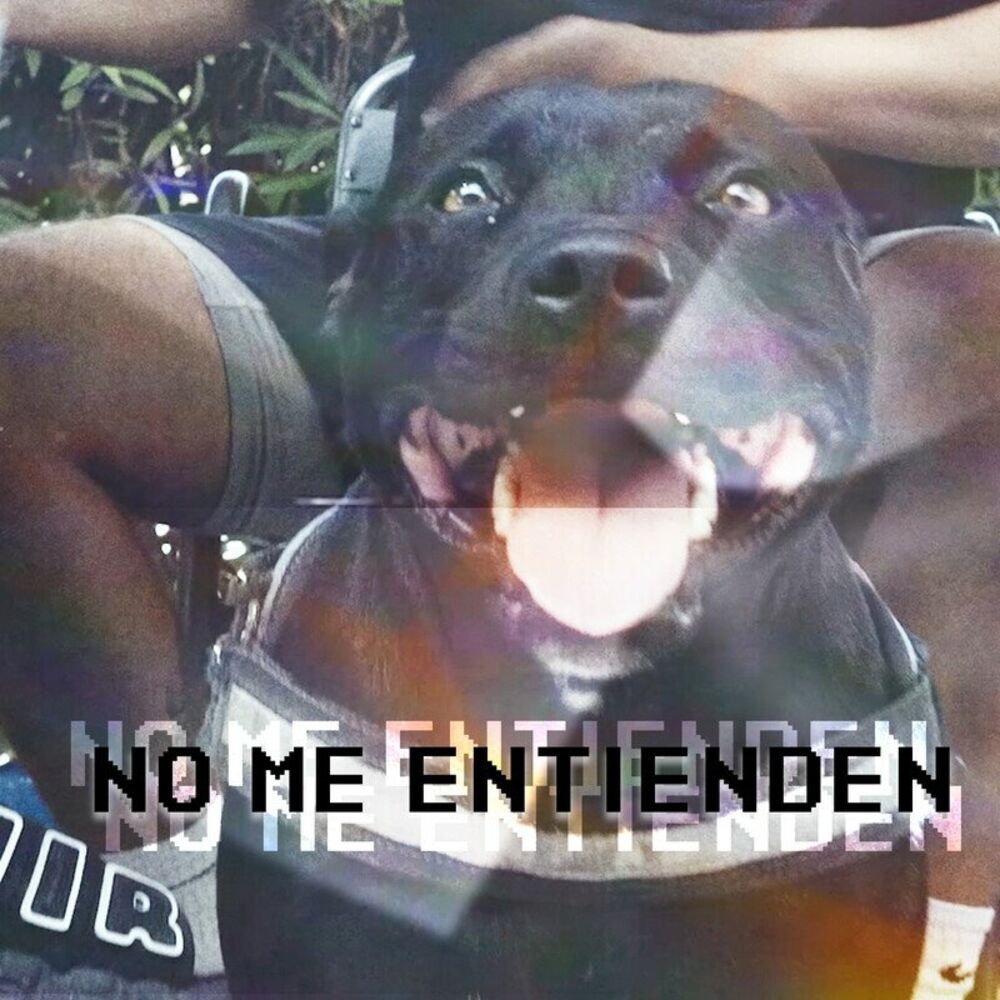 Picture of No Me Entienden