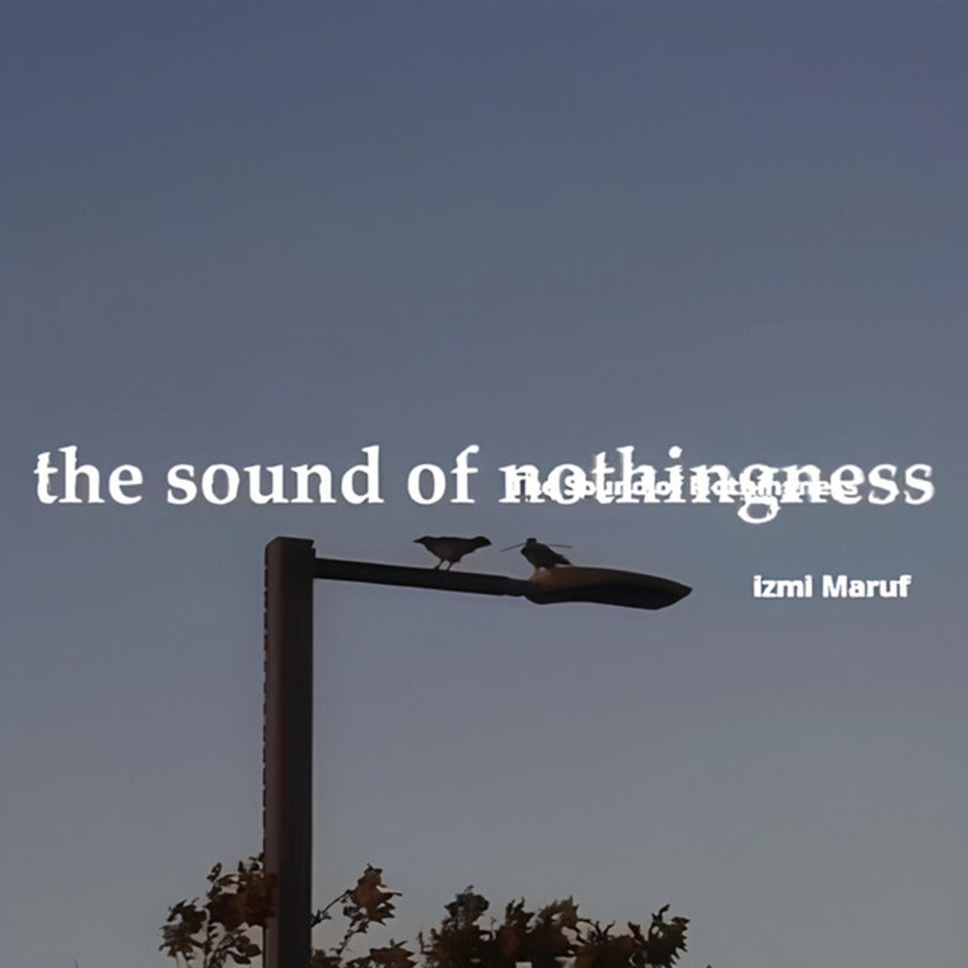 Album cover of The Sound of Nothingness