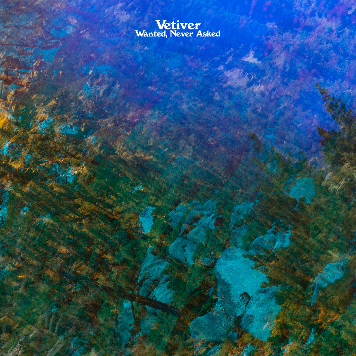 Album cover of Wanted, Never Asked