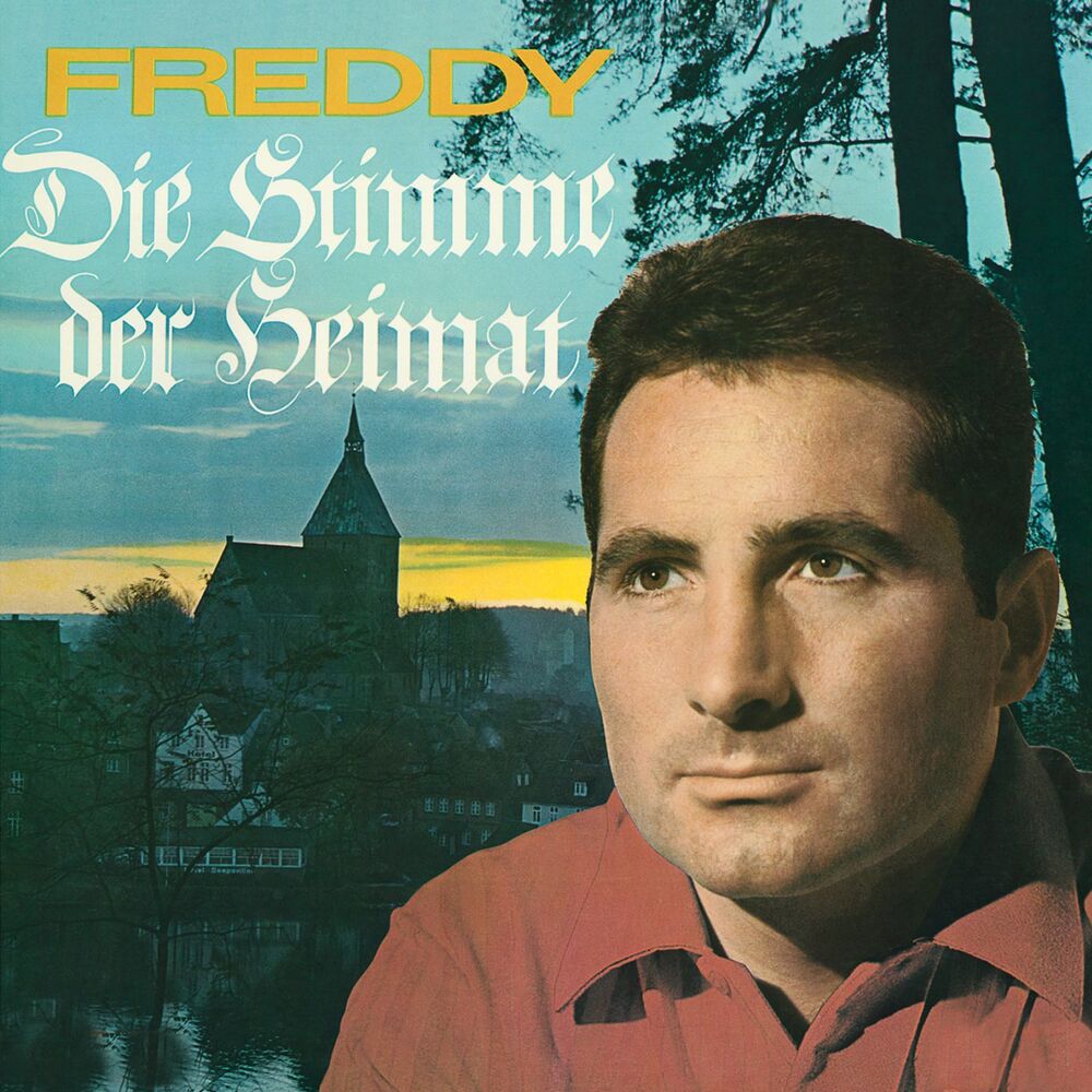 Picture of Die Stimme der Heimat