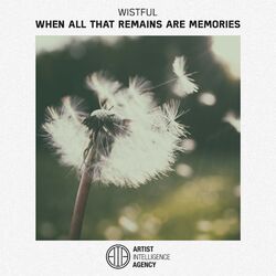 Cover of When All That Remains Are Memories