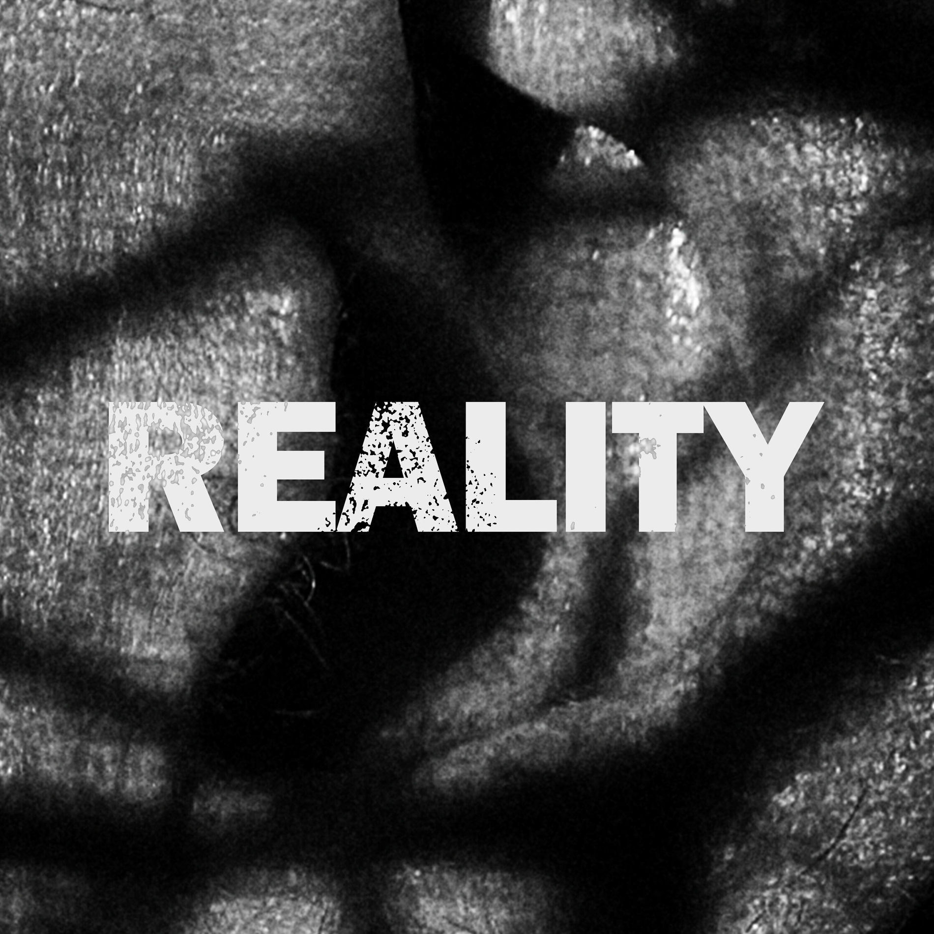 Album cover of Reality