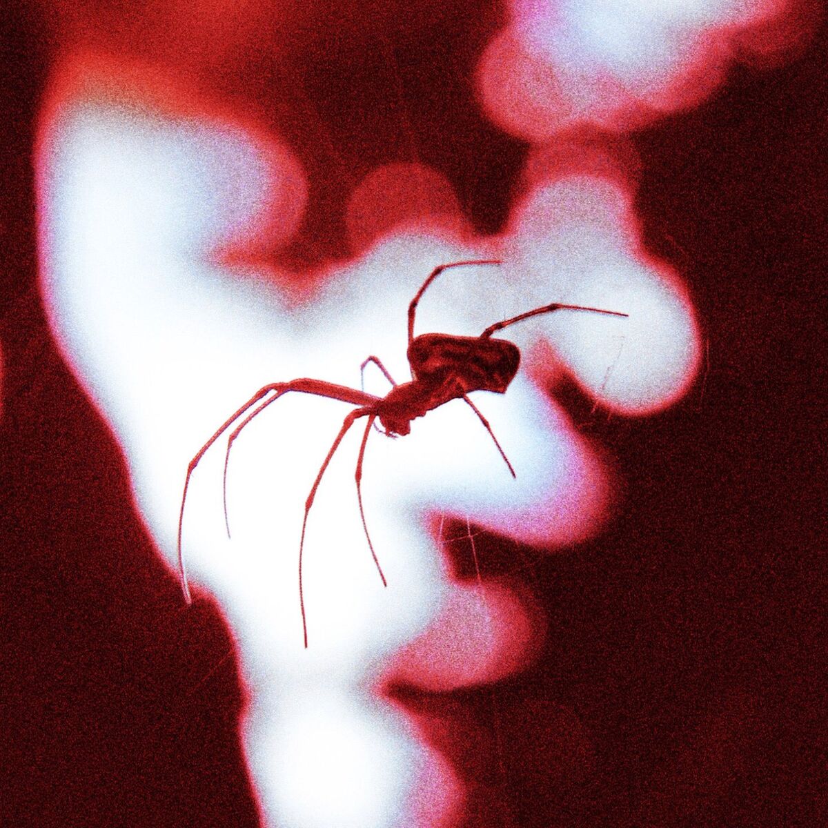 Album cover of Crawling