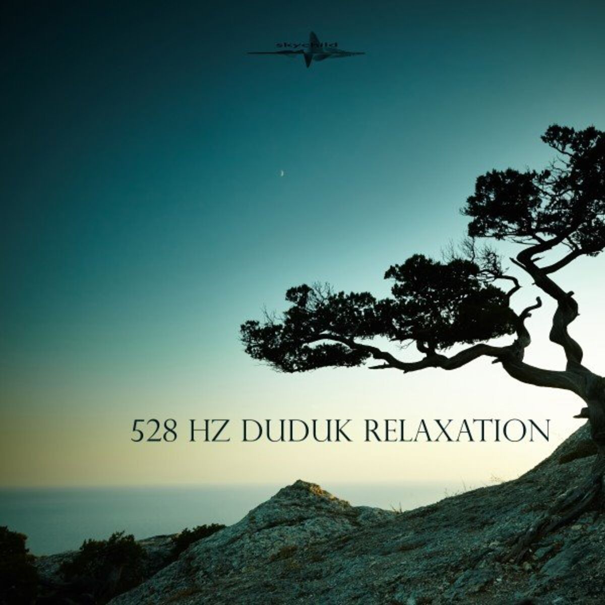 Album cover of 528 Hz Duduk Relaxation