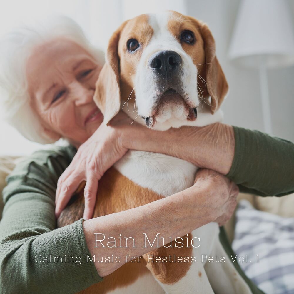 Picture of Rain Music: Calming Music for Restless Pets Vol. 1